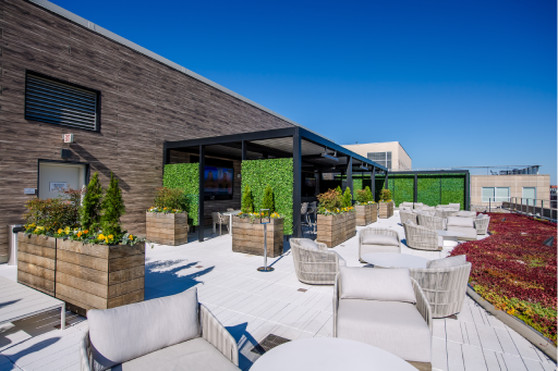 The Rooftop